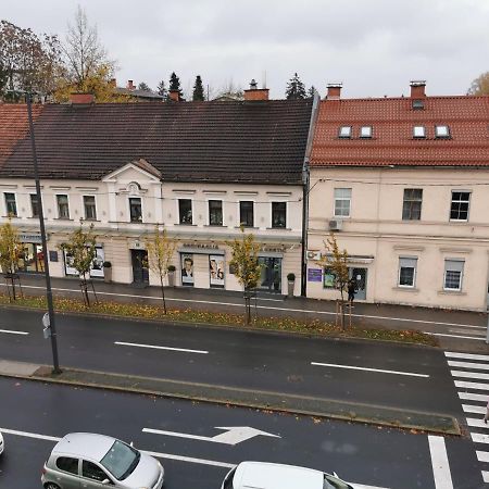 Apartment Trzaska With Free Parking Ljubljana Exteriör bild