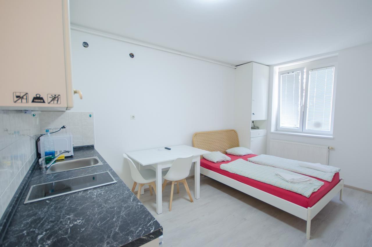 Apartment Trzaska With Free Parking Ljubljana Exteriör bild